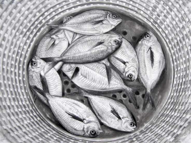 Catch of the Day.jpg